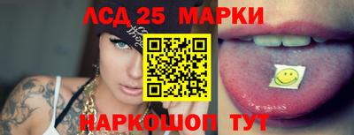 шишки Камышлов