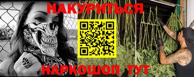 шишки Камышлов