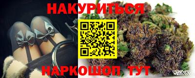 шишки Камышлов