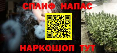 шишки Камышлов
